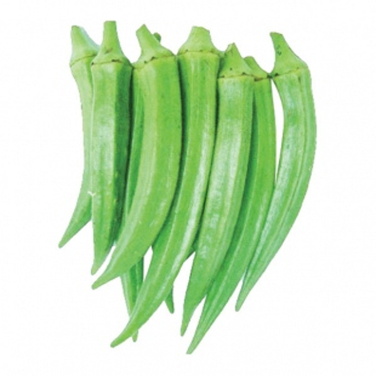 Kevadem farmers sell 17 tonnes  of lady fingers to Horti Corp