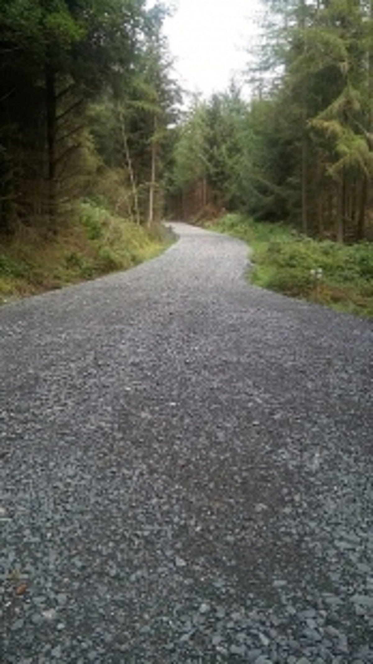 Khandepar villagers demand footpath