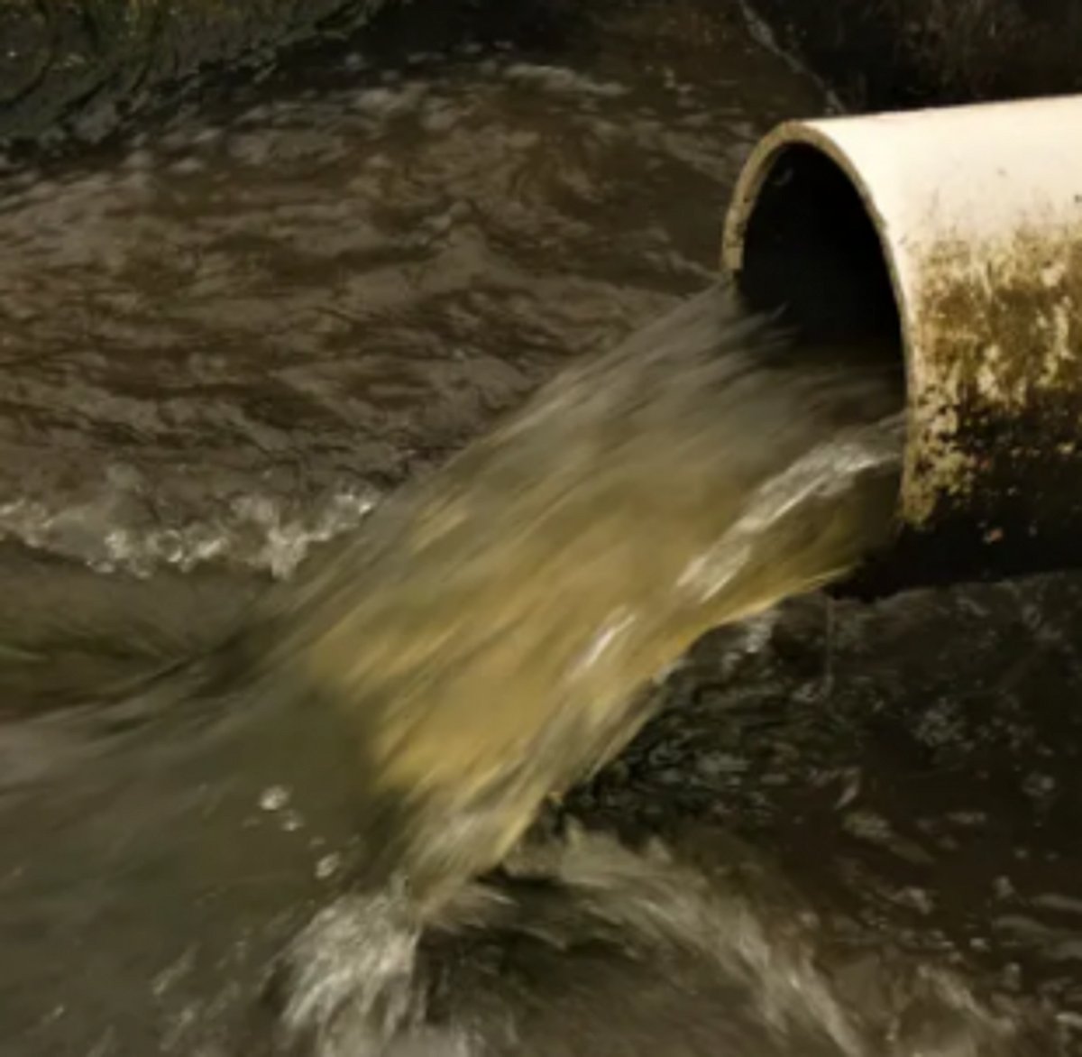 Khareband shopping mall owner  asked to clean pond pollution