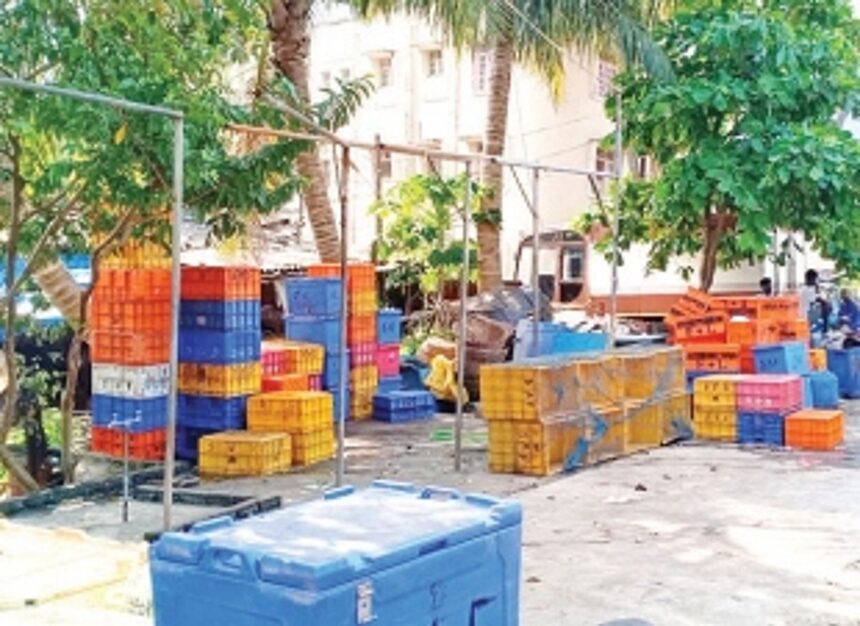 Khariwado wholesale fish vendors keep outlets closed