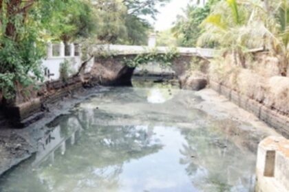 Kill it, that’s what govts want to do to the creek