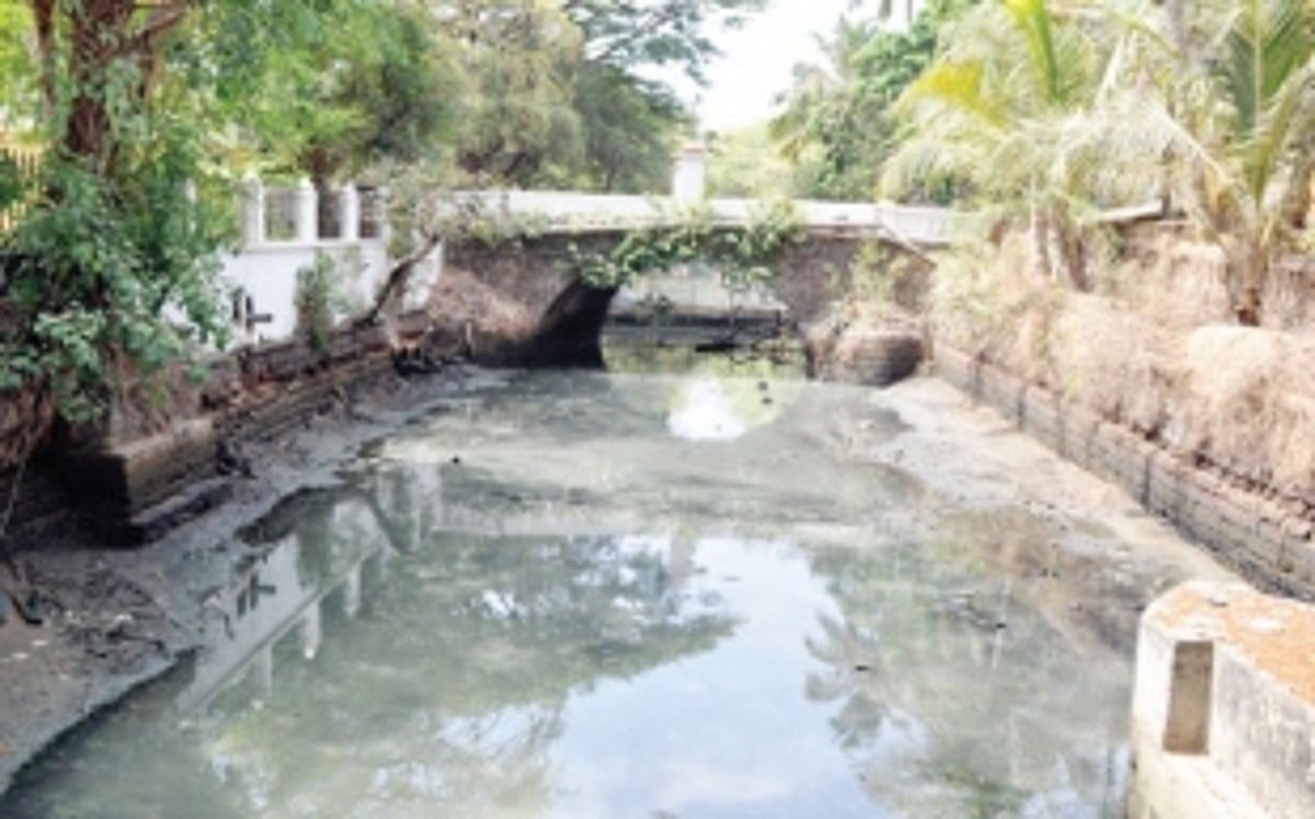 Kill it, that’s what govts want to do to the creek