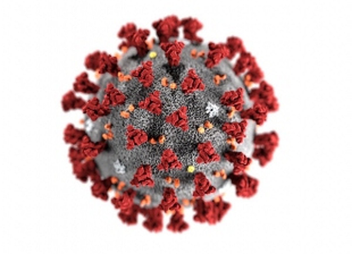Killer September took 233 COVID-19 patients