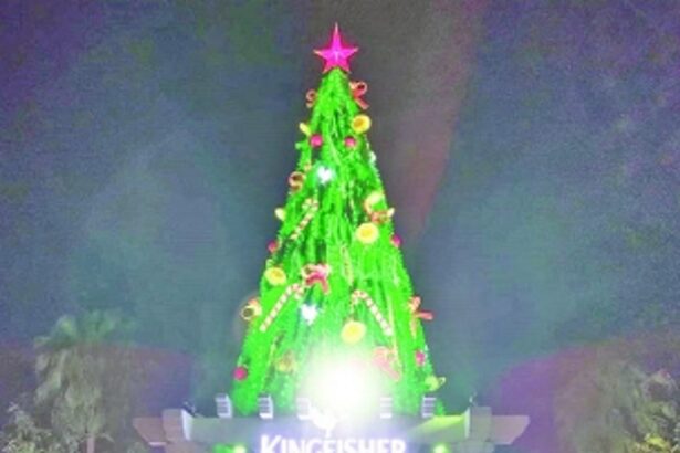 Kingfisher’s majestic 36-feet Christmas Tree illuminates Panjim with festive splendour