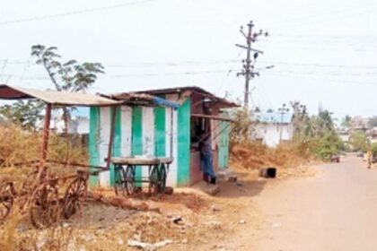 Kiosks, handcarts mushrooming  in Port Town, says activist
