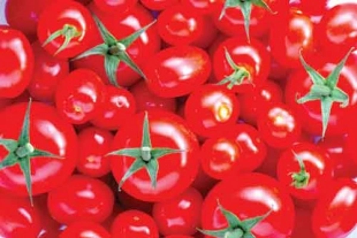 Kitchen budgets stretched as veggie prices rise