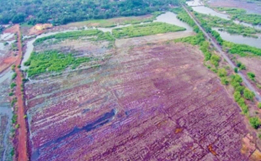 Knockout blow to Khazan lands as Neura farmers defeated by saltwater intrusion