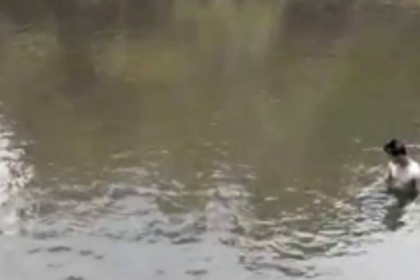 Kodar River joint inspection reveals three dangerous spots