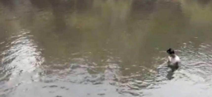 Kodar River joint inspection reveals three dangerous spots