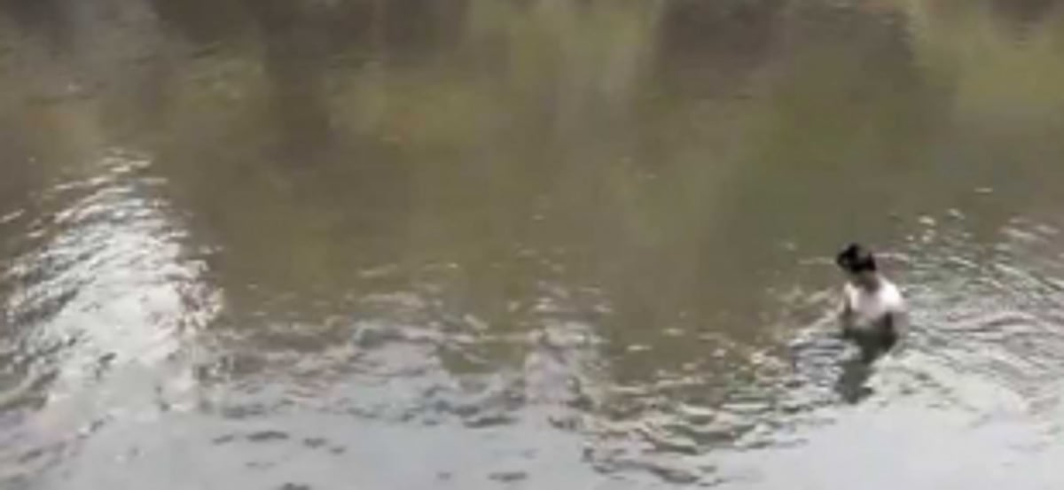 Kodar River joint inspection reveals three dangerous spots