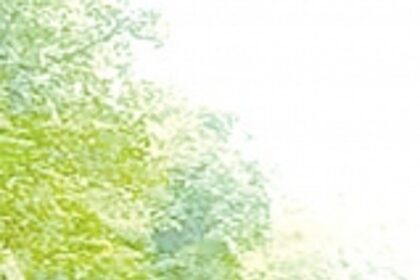 Konkan Railway struggles to curb deaths: 171 lives lost on Goa’s rly tracks over four years