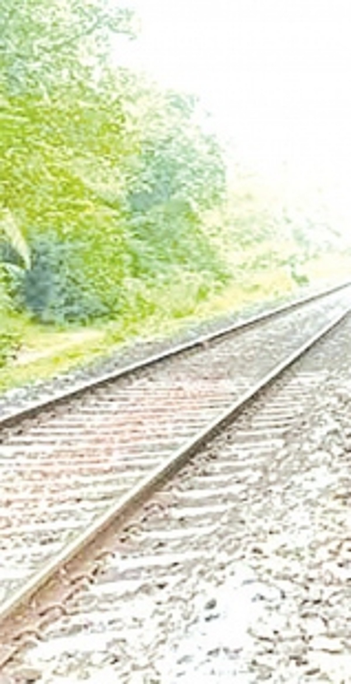 Konkan Railway struggles to curb deaths: 171 lives lost on Goa’s rly tracks over four years