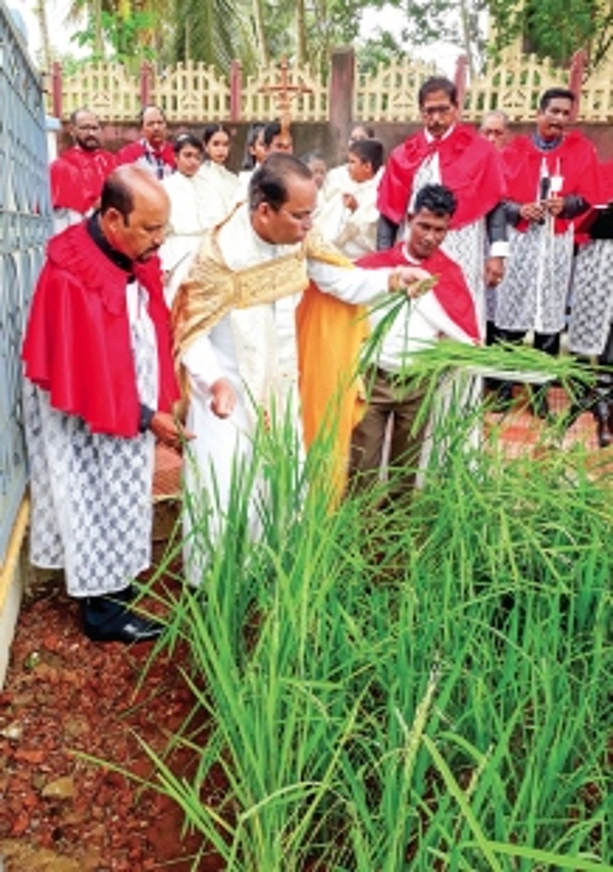 Konsachem Fest celebrated with great gusto