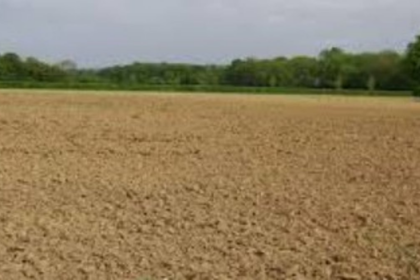 Krishi Setu Bridge Under Scrutiny: Fallow Fields Raise Questions on Its Purpose
