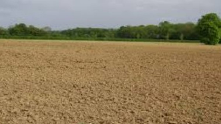 Krishi Setu Bridge Under Scrutiny: Fallow Fields Raise Questions on Its Purpose 1 Krishi Setu Bridge Under Scrutiny: Fallow Fields Raise Questions on Its Purpose