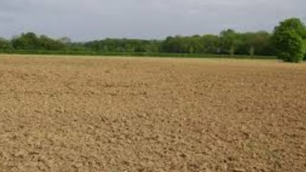 Krishi Setu Bridge Under Scrutiny: Fallow Fields Raise Questions on Its Purpose