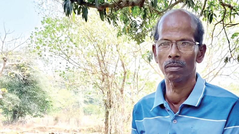 Krishna Kerkar: Aldona Farmer’s 45-Year Journey of Farming and Cow Rearing