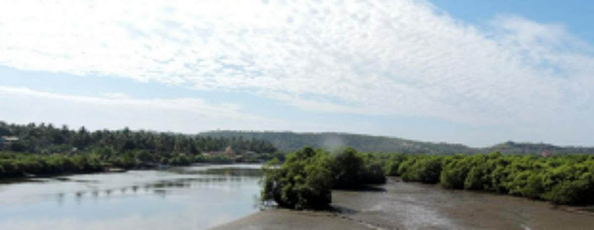 K’taka begins soil mapping for   Kalasa-Bandura project after 4 yrs