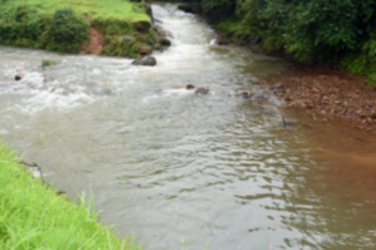 K’taka may soon succeed in diverting Mhadei, building dams, warns environmentalist