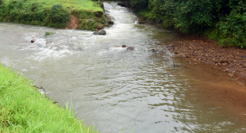 K’taka may soon succeed in diverting Mhadei, building dams, warns environmentalist