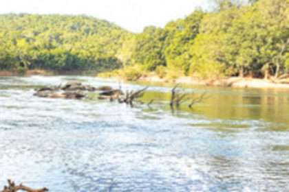 K’taka writes to Forest Ministry, says Goa’s show cause is ‘Farfetched and unjust’