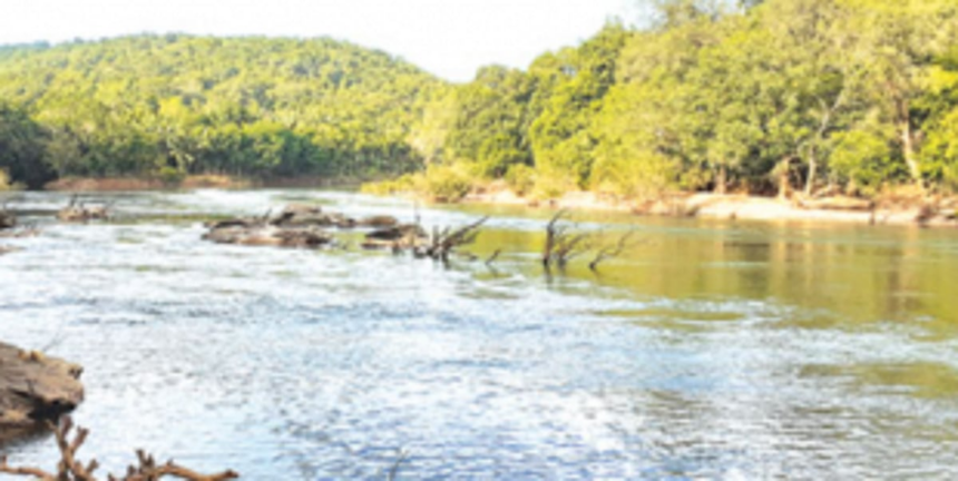 K’taka writes to Forest Ministry, says Goa’s show cause is ‘Farfetched and unjust’