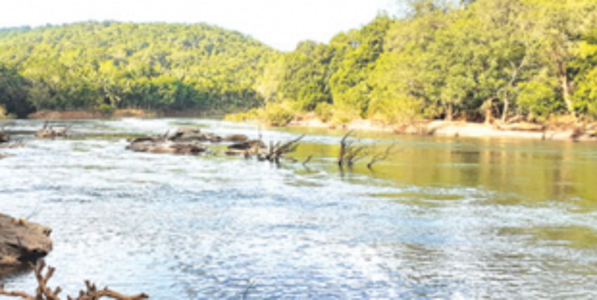 K’taka writes to Forest Ministry, says Goa’s show cause is ‘Farfetched and unjust’