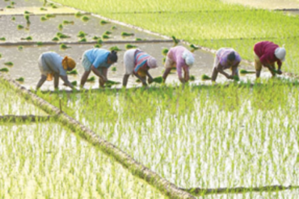 Kul Mundkar Samiti urges govt to withdraw Agriculture Bill