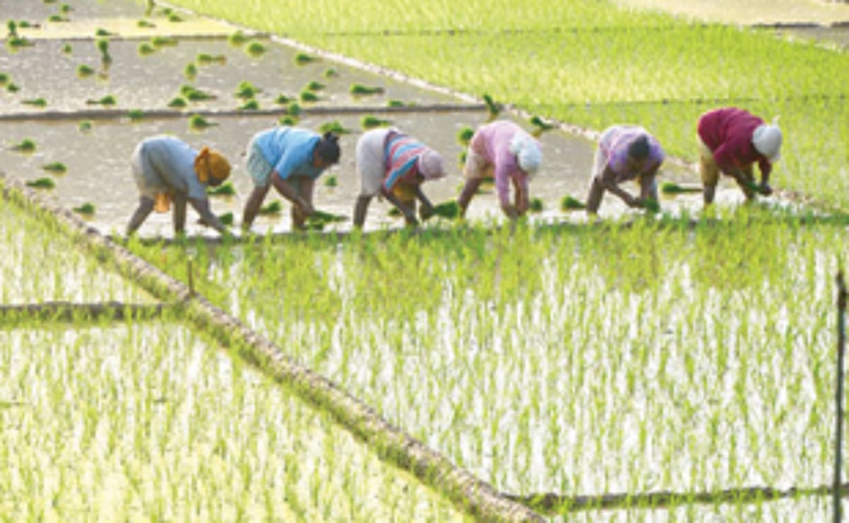 Kul Mundkar Samiti urges govt to withdraw Agriculture Bill