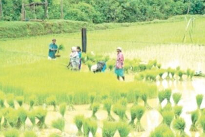 Kul Mundkaracho Avaaz raises  objection to Agri Land Bill 2023