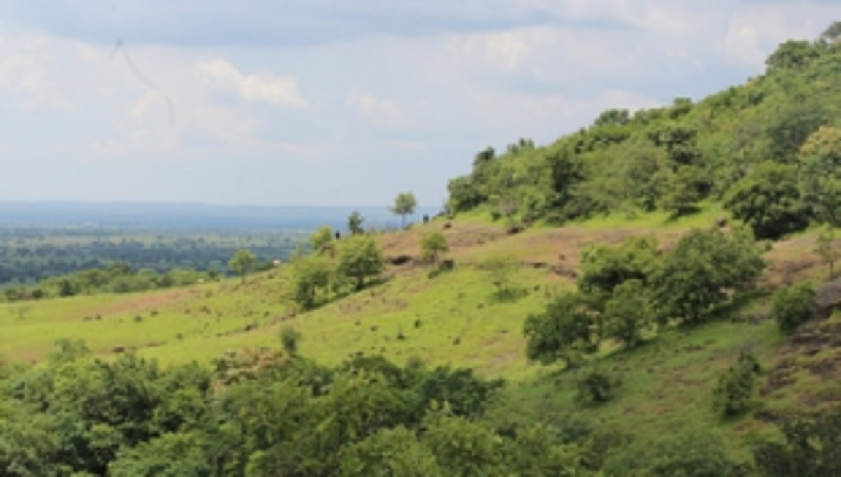 Kumbhari, Dongor students forced to travel to dangerous hilly areas for internet connectivity