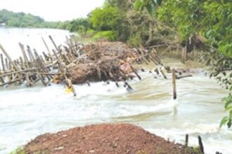Kundaim bund breaches in four places, fields of 550 ryots at risk