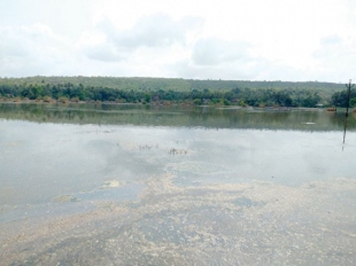 Kundaim farmers want saline water  to be released into river