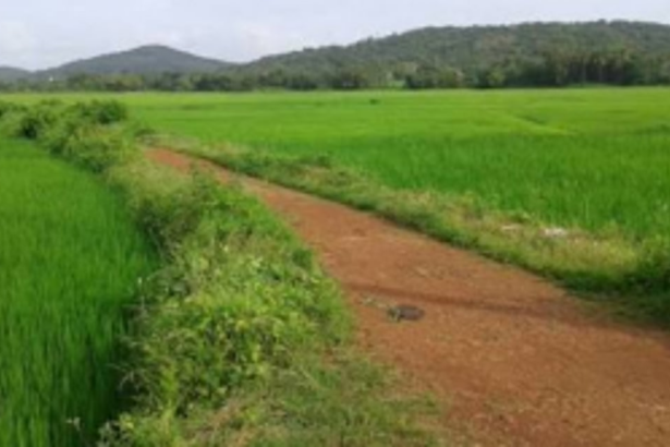 Kundaim locals oppose  NOC to Mutt on Comunidade land