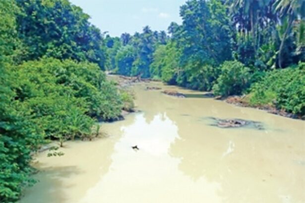 Kushavati river polluted at Paroda, Avedem