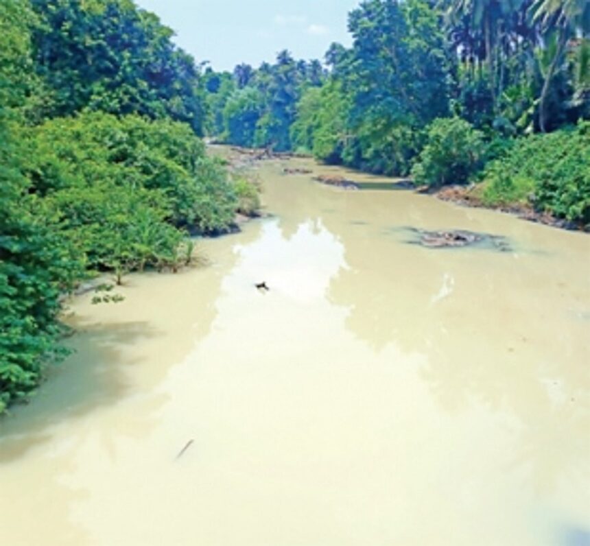 Kushavati river polluted at Paroda, Avedem 1 Kushavati river polluted at Paroda, Avedem