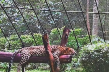 LET’S GET SMART ABOUT WILDLIFE CONSERVATION