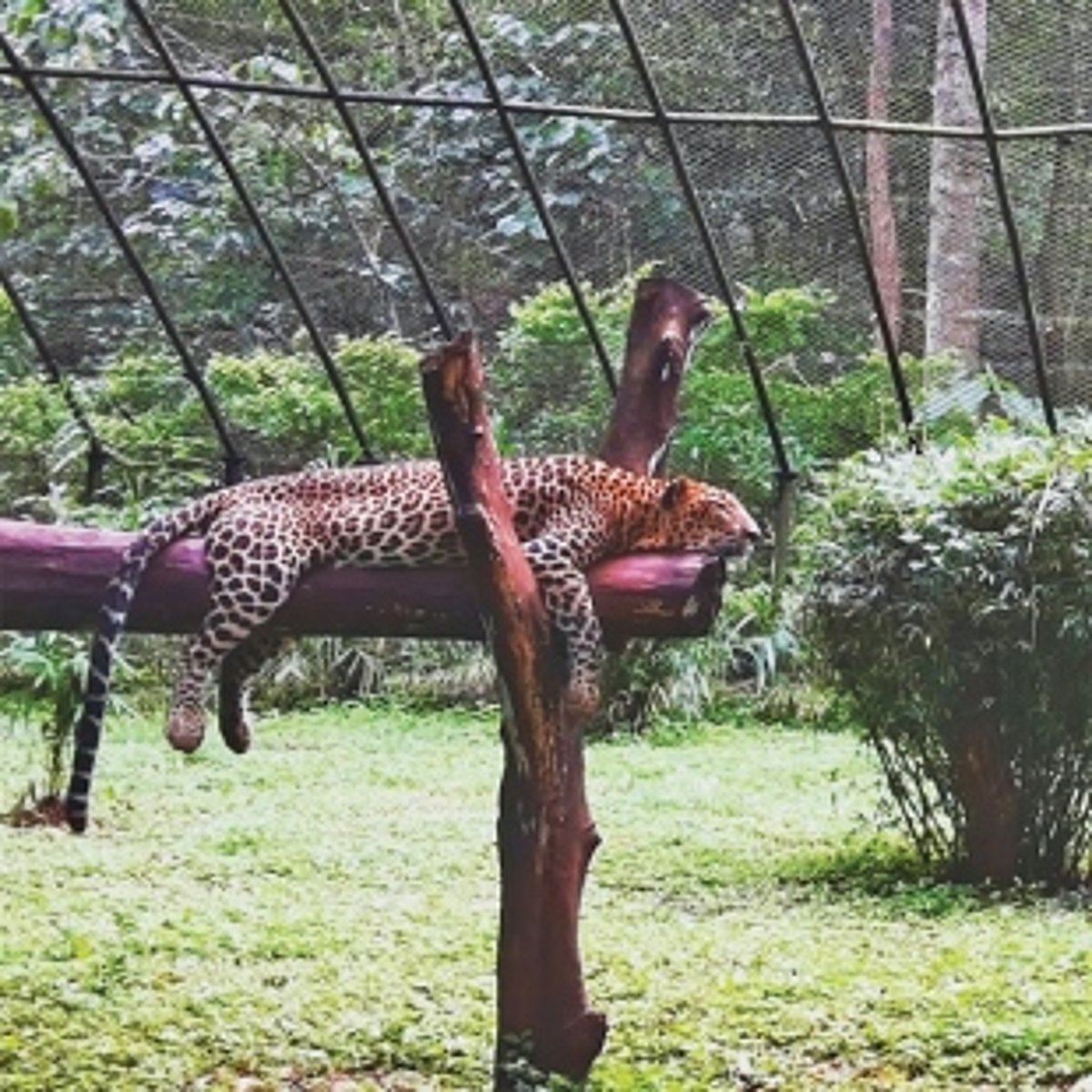 LET’S GET SMART ABOUT WILDLIFE CONSERVATION