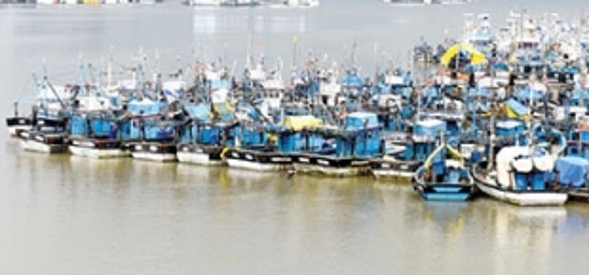 Labour shortage likely to keep trawlers anchored