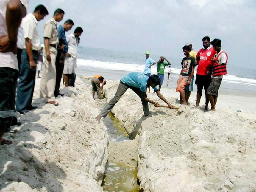 Labourers engaged in capping the trench connecting the Colva creek to the sea to drain out sewage waters.