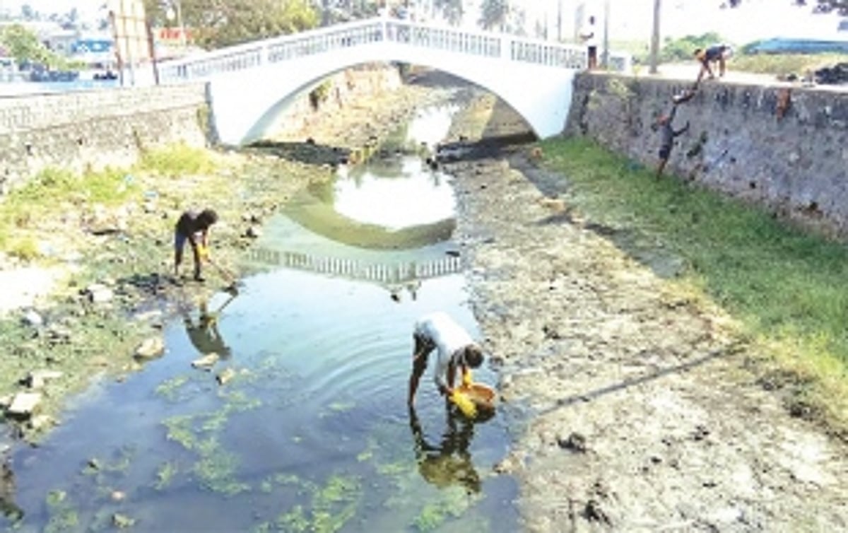 Labourers scoop out garbage, muck from Colva creek