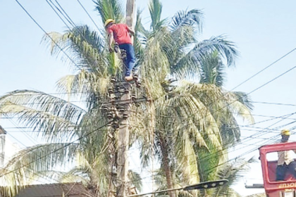 Lack of Safety Gear for Lineman in Duler Highlights Ongoing Negligence in Goa