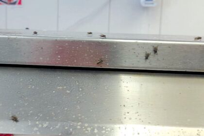 Lack of hygiene at chicken shop puts public health at risk