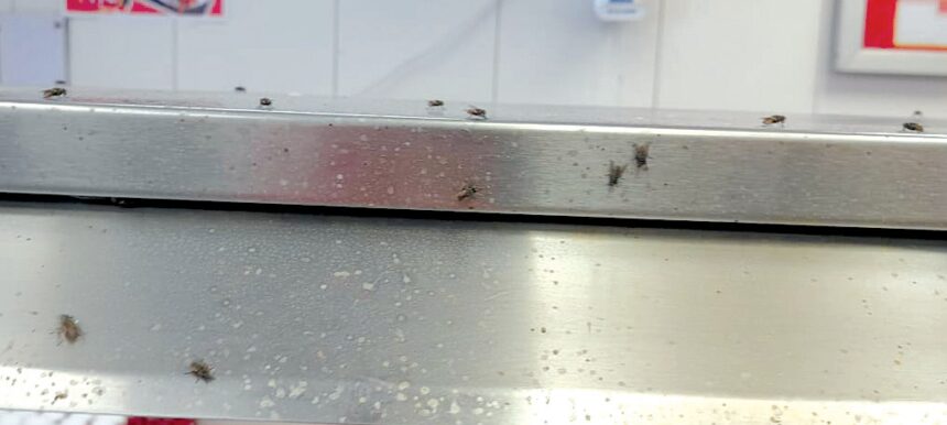 Lack of hygiene at chicken shop puts public health at risk 1 Lack of hygiene at chicken shop puts public health at risk