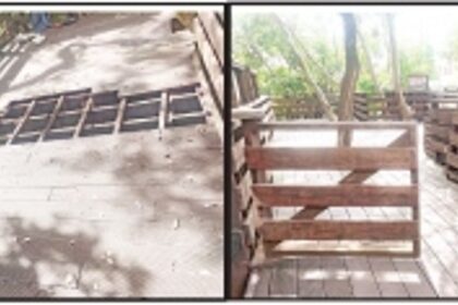 Lack of maintenance at Panjim’s mangrove walkway