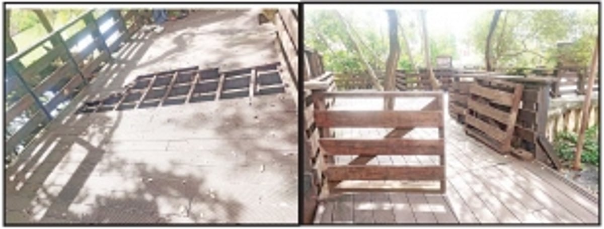 Lack of maintenance at Panjim’s mangrove walkway