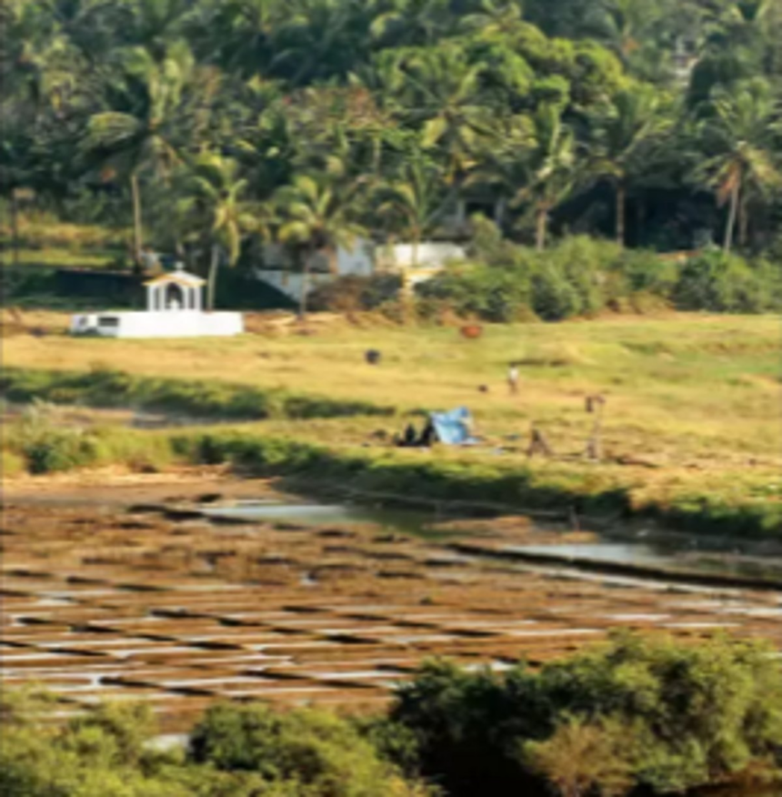 Land Revenue  Code amended