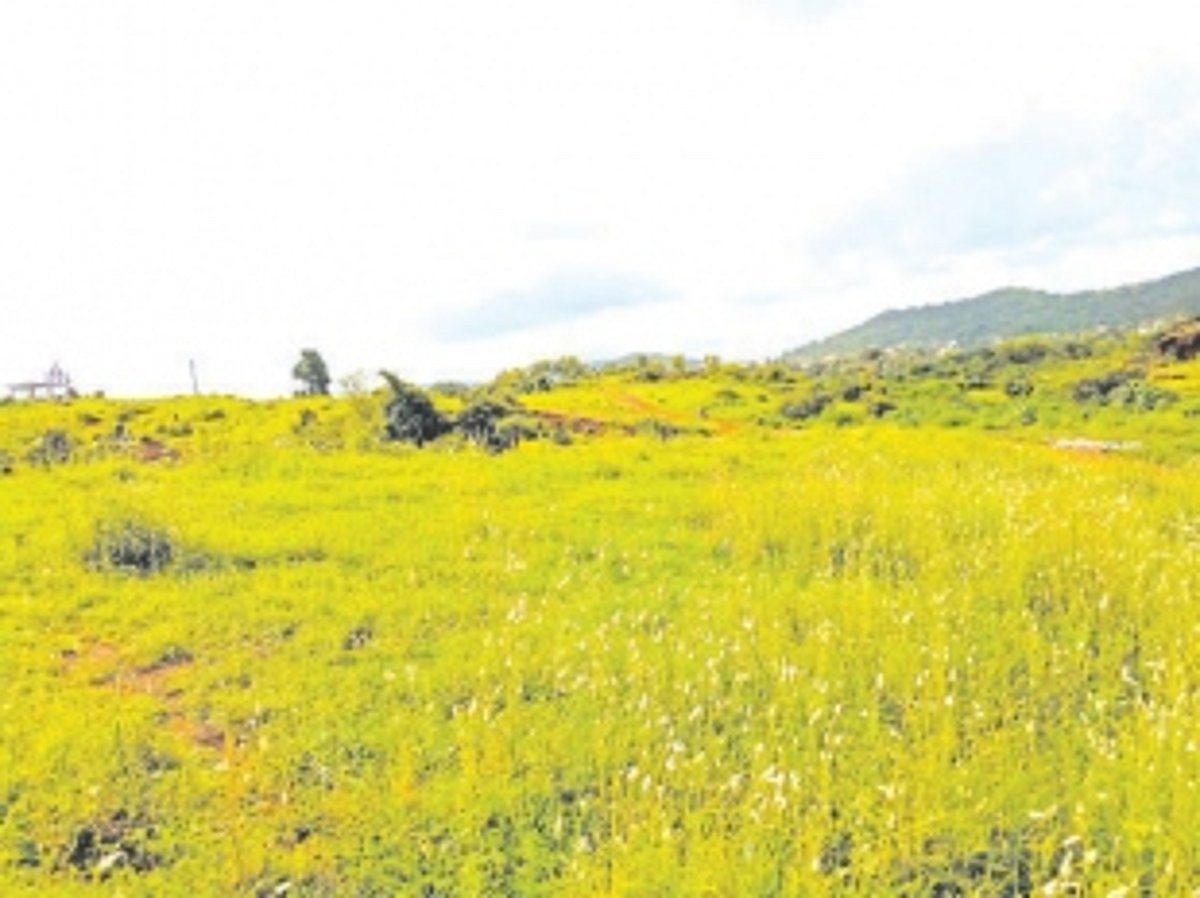 Land demarcation for Davorlim education complex begins