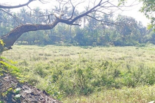 Land for renewables energy park, then cycle velodrome “abandoned”