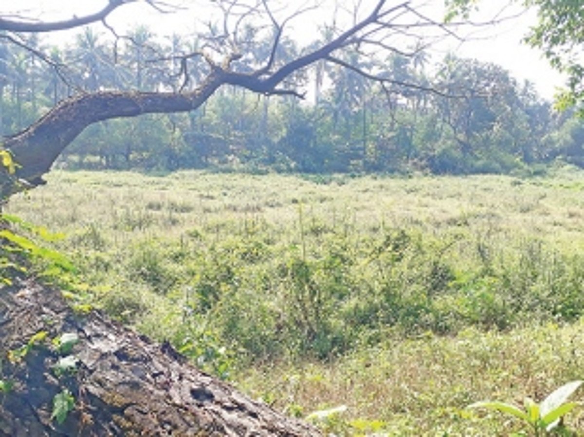 Land for renewables energy park, then cycle velodrome “abandoned”